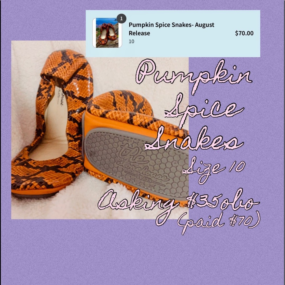 The Storehouse Flats Pumpkin Spice Snakes Size 10!$35